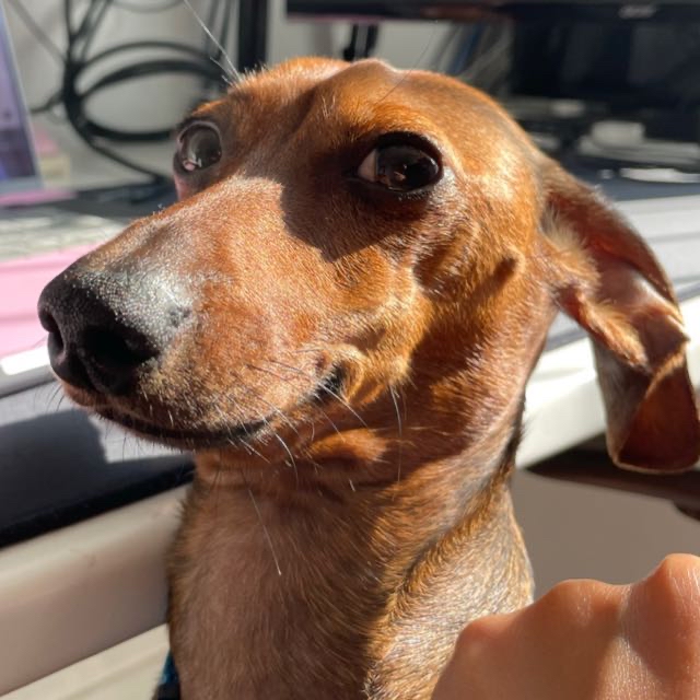 Wally